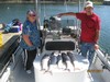 (09/07/2017) - Nice Striped Bass